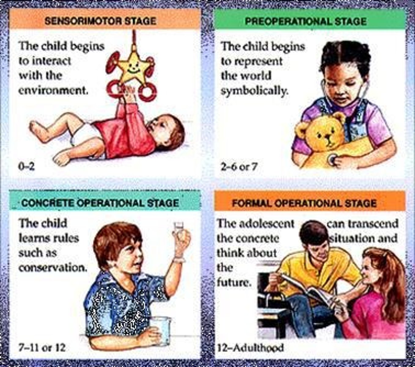 <p>Four distinct phases of cognitive growth.</p>