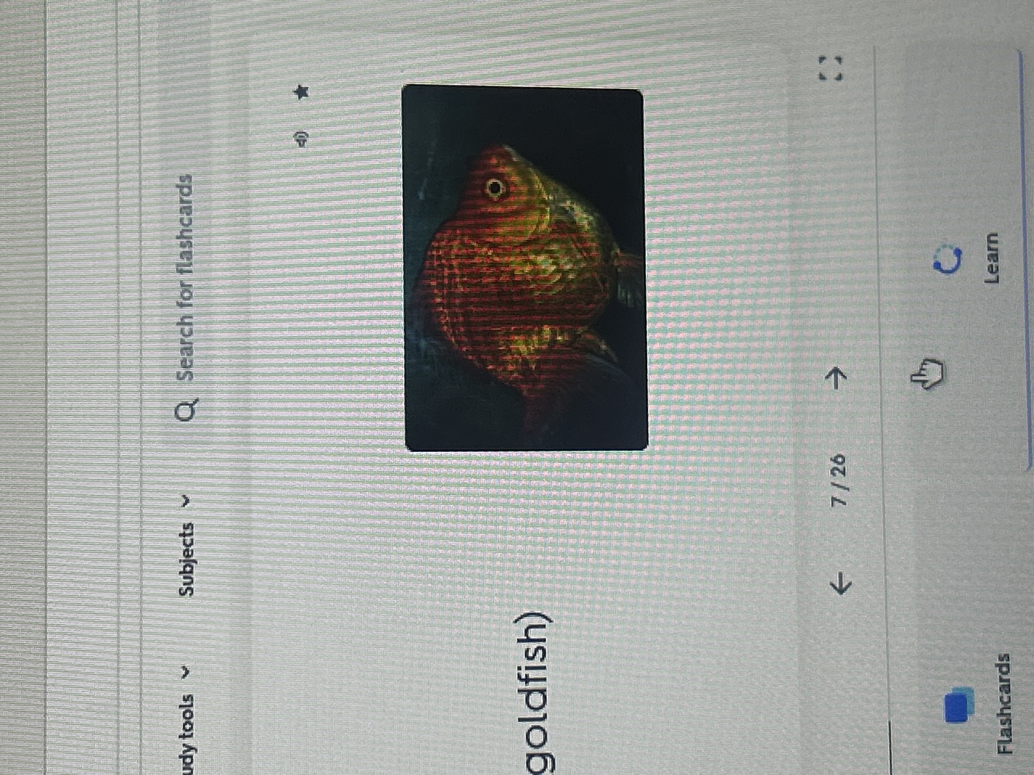 knowt flashcard image