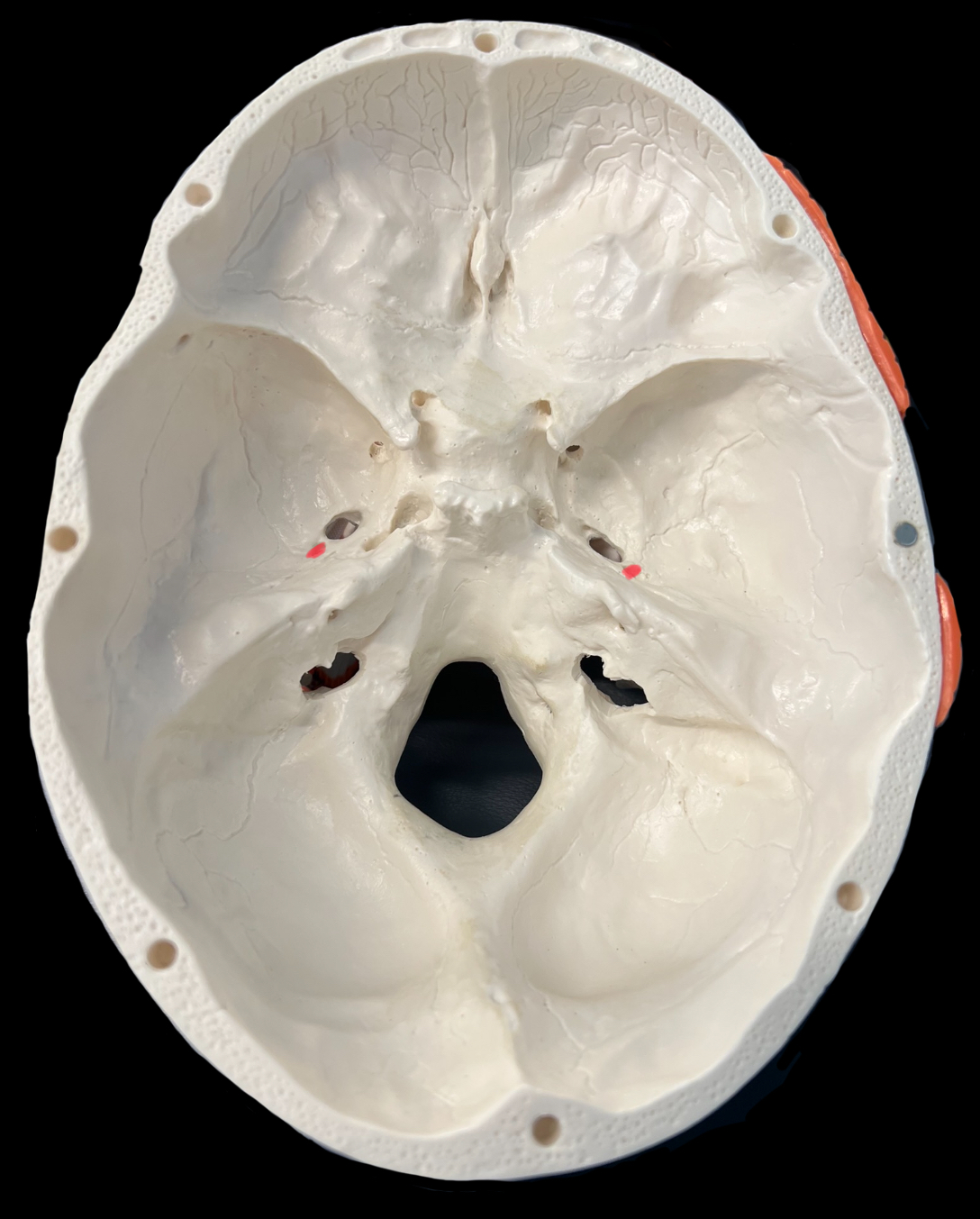 What is highlighted in red?

What goes through it?