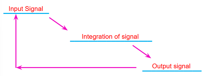 <ul><li><p>Usually involves chemical &amp; electrical signals (nervous &amp; endocrine control)</p></li><li><p>Response loop has 3 main components</p><ul><li><p>Input signal</p></li><li><p>Integration of Signal</p></li><li><p>Output signal</p></li></ul></li></ul><p></p>