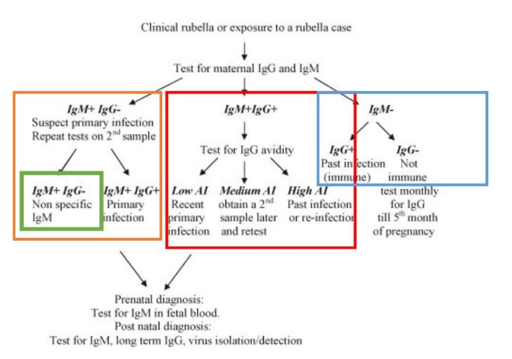 <p>a ) IgM- e IgG- </p><p>Nunca entrou em contato com o vírus<br></p><p>b) IgM+ e IgG- </p><p>Suspeitar de infeção primária (mas pode ser falso positivo;<br>repetir análise: seroconversão de IgG significa infeção primária)</p><p><br>c) IgM+ e IgG+ </p><p>Fazer teste de avidez<br>avidez baixa: infeção primária recente<br>avidez alta: infeção antiga ou reinfeção</p><p><br>d) IgM- e IgG+ </p><p>Tem anticorpos produzidos como consequência da vacinação ou infeção antiga </p>