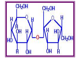 <p>Sucrose</p><p></p>
