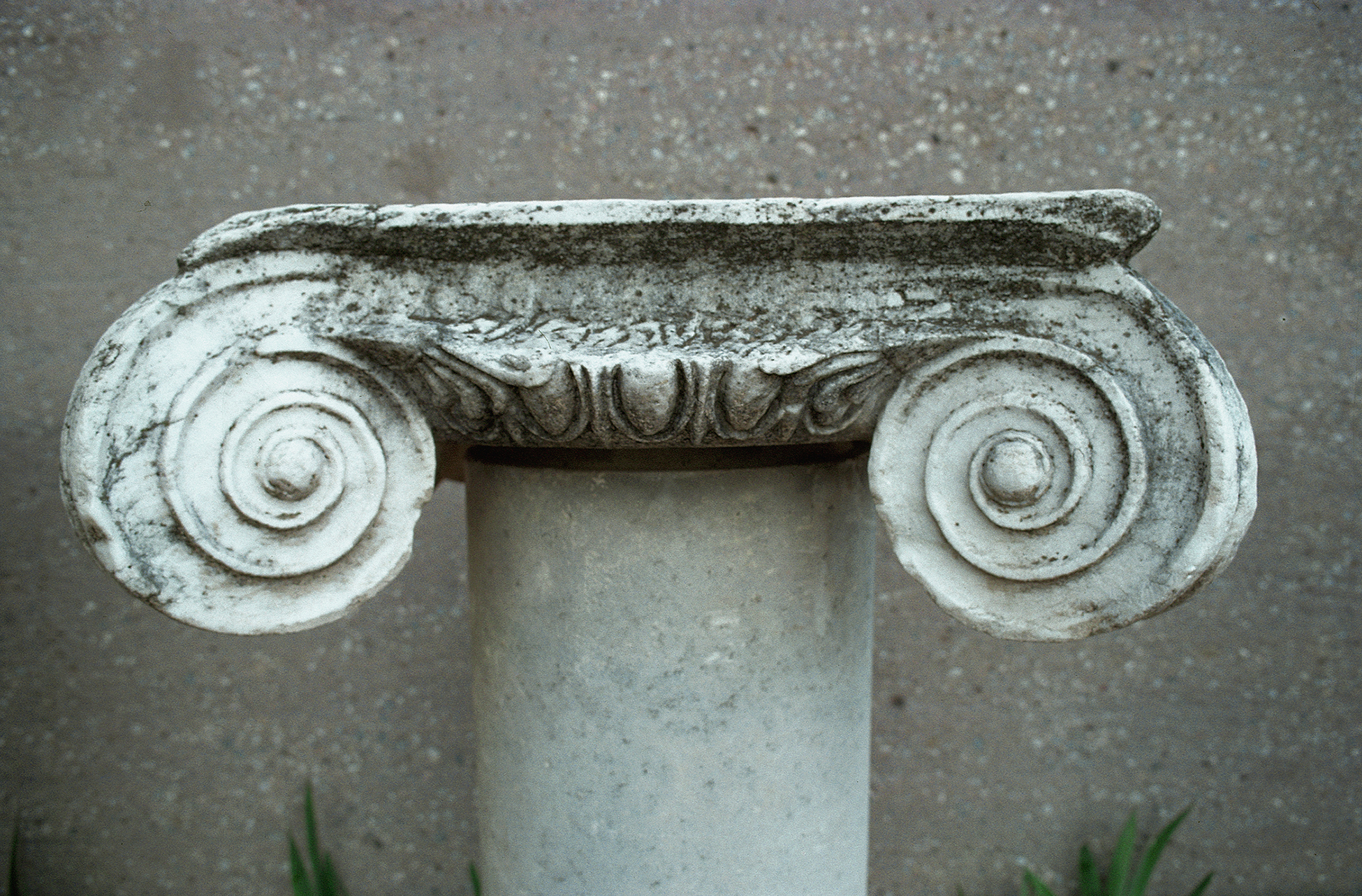 <p>The column shown demonstrates the style of which of the following orders?<br>A. Doric<br>B. Ionic<br>C. Corinthian<br>D. Composite</p>