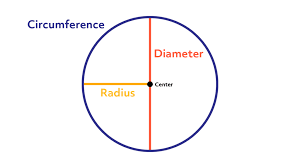 <p>Circumference </p>