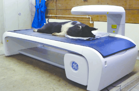 <p>During the scan </p>