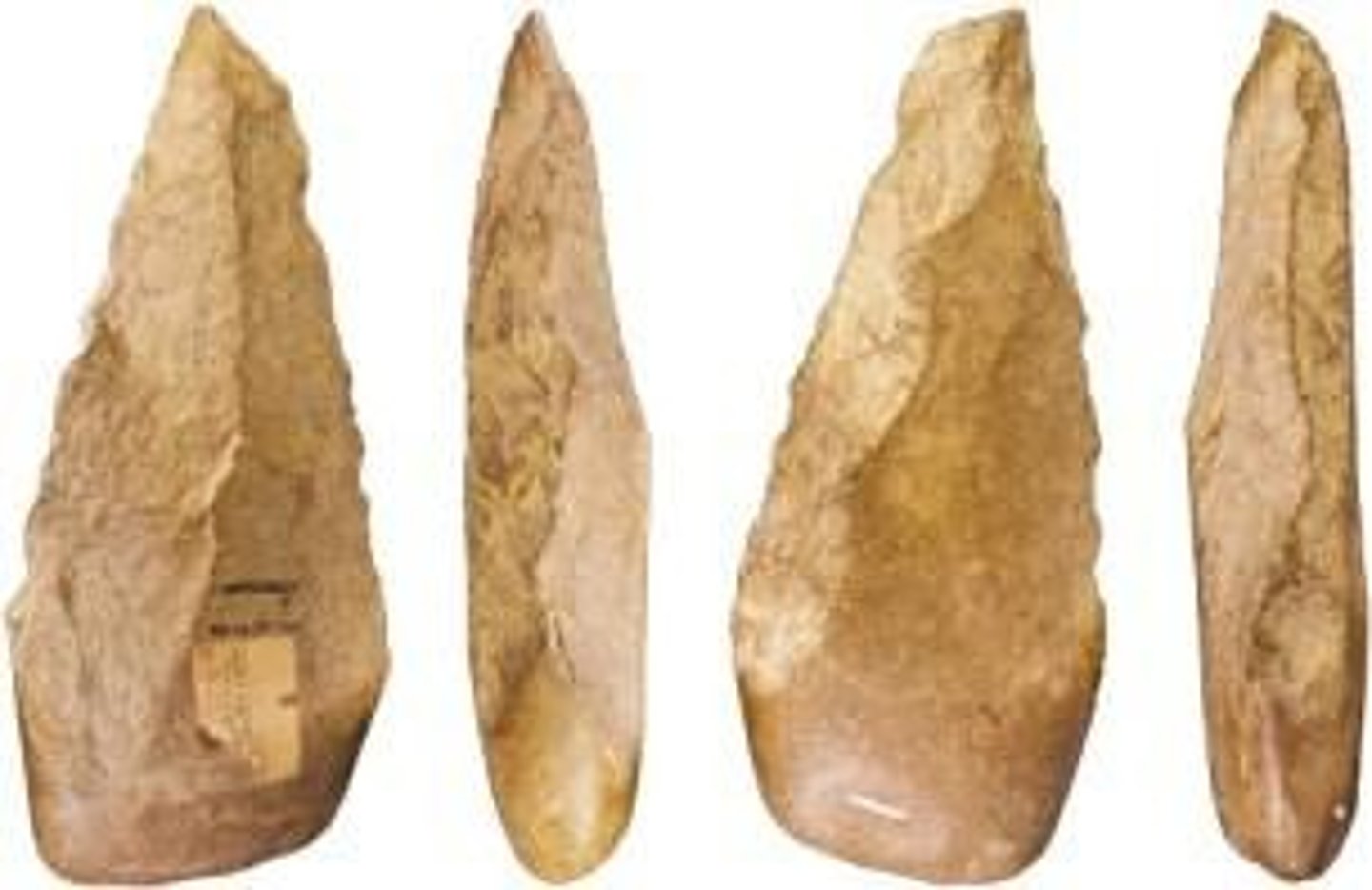 <p>A tool industry associated with early hominins, characterized by hand axes.</p>