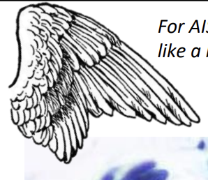 <p>1) Adenocarcinome in situ (AIS) </p><p>2) femme d’environ 40 ans </p><p>3) </p><p>Différenciation glandulaire</p><ul><li><p>Feathering (aile et plumes) </p></li><li><p>Cylindrique</p></li><li><p>Organisation en picket fence </p></li><li><p>Rosettes</p></li></ul><p>Noyaux</p><ul><li><p>Hyperchromes</p></li><li><p>Serrés </p></li><li><p>Cigar-like</p></li><li><p>Pas de nucléoles</p></li></ul><p>Apoptoses fréquentes</p><p>Associé à SIL </p><p>4) </p><ul><li><p>HSIL</p></li><li><p>Métaplasie tubaire</p></li><li><p>Emdomètre exfolié </p></li></ul><p></p>