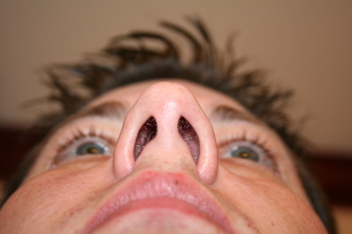 <p>/ˈnɒstrɪl/ danh từ</p><p>lỗ mũi</p><p>He breathed through his nostrils during the meditation session.</p><p>nares, passage</p>