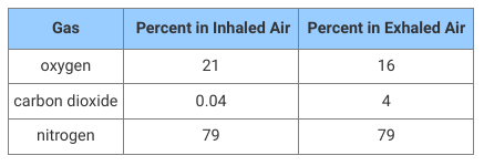 Students learning about the respiratory system collected data on the gases inhaled and exhaled by a classmate. The table shows the data collected.

Which of the following best explains the data in the table?  

A. The nose filters out nitrogen gas so only oxygen and carbon dioxide gases enter the lungs. 

B. The walls of the trachea allow only carbon dioxide gas and nitrogen gas to move out of the body.  	

C. As air enters the larynx, it is warmed, causing some oxygen gas to be converted to carbon dioxide gas.  	

D. As air enters the alveoli, some oxygen moves into the blood and some carbon dioxide moves out of the blood.