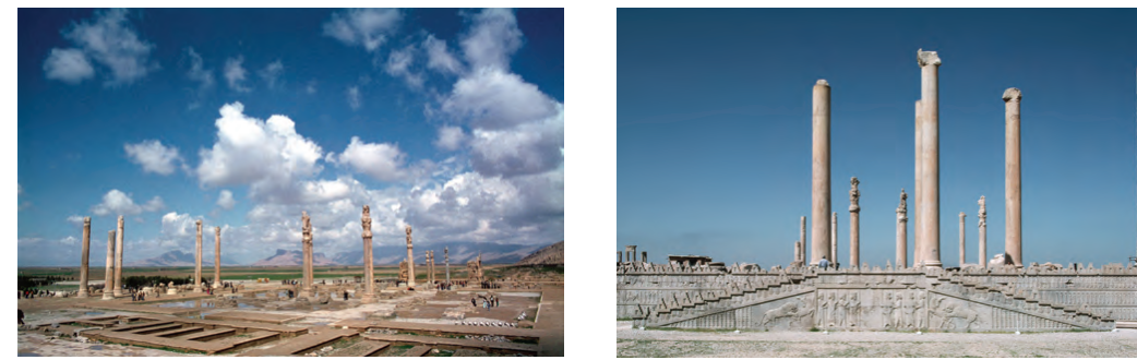 <p>audience hall (apadana) of darius &amp; xerxes</p>