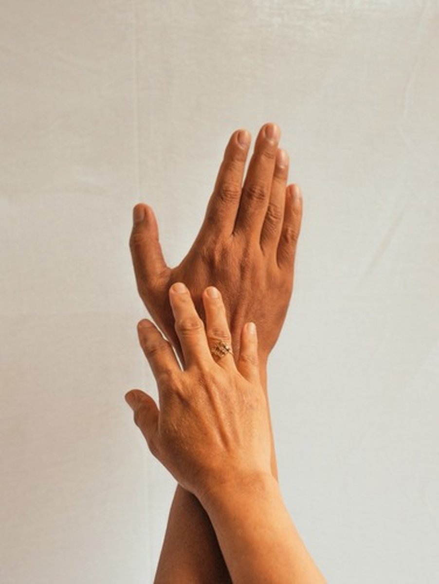 <p>perception of touch and pain from stimulation of the skin</p>