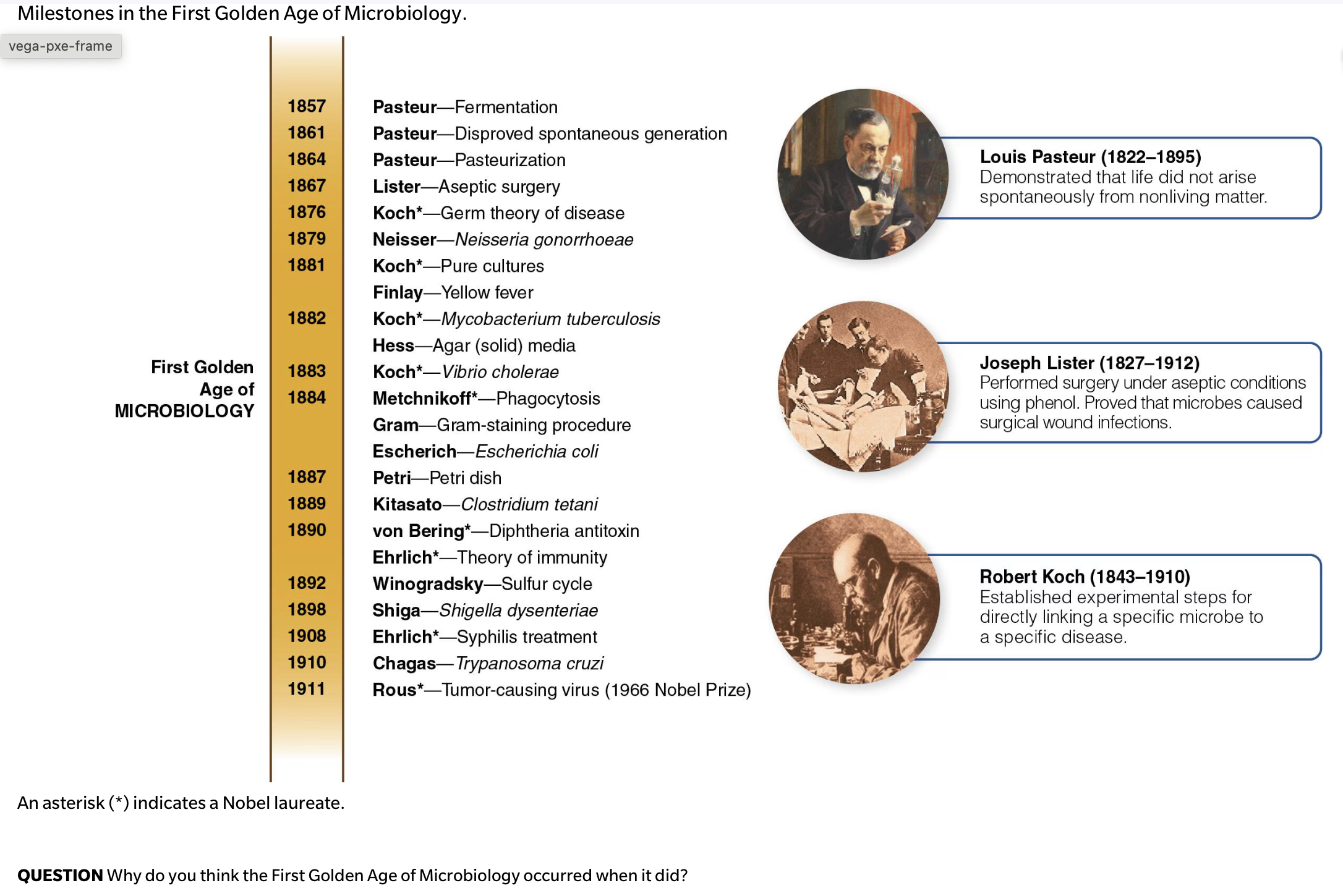 <p>QUESTION Why do you think the First Golden Age of Microbiology occurred when it did?</p>