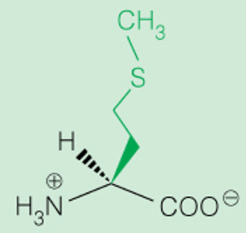<p>3 Letter</p>