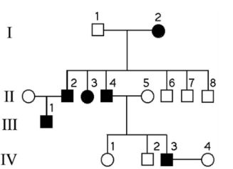<p><span>Based on the family pedigree above where shaded represents individuals affected by a dominant disorder, one would conclude all of the following </span><strong><span>except</span></strong><span>:</span></p><p><span>A. Individual I-2 is homozygous</span></p><p><span>B. Individual I-1 is homozygous</span></p><p><span>C. Individual III-1 is heterozygous</span></p><p><span>D. Individual II-4 married individual II-5</span></p>