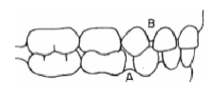 <p>what do A and B represent?</p>
