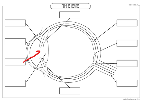 <p>What is the part in the diagram called?</p>