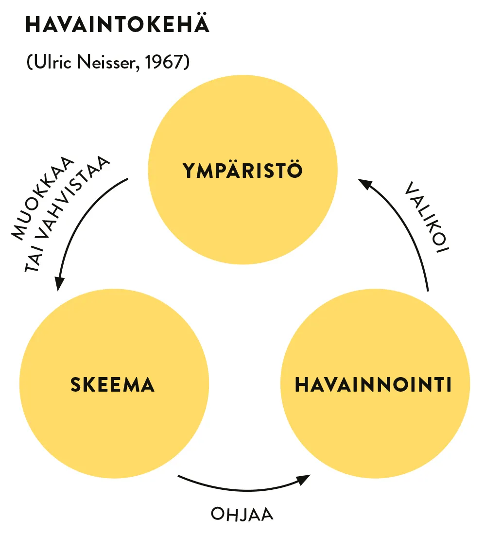 <p>Käsittelee skeemojen merkitystä tiedonkäsittelyssä. </p><p></p><p>Vanhat skeemat ohjaavat ihmisen tarkkaavaisuutta ja havainnointia. Uutta informaatiota verrataan vanhoihin skeemoihin ja sen jälkeen skeemat voivat joko vahvistua tai muuttua. Sama kehä jatkuu uudestaan. </p>