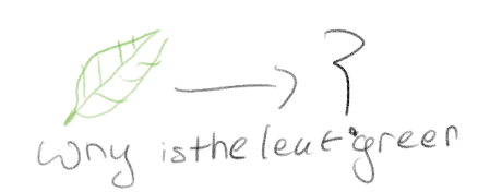 <p>A particular question to explain those observations.</p>