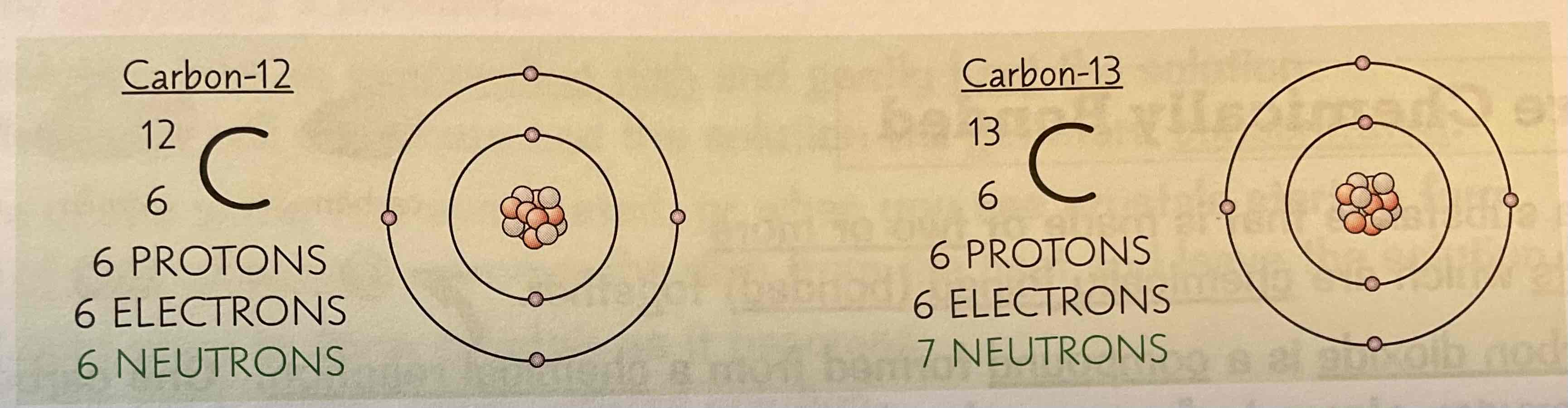 <p>Carbon -12, carbon- 13</p><p></p>
