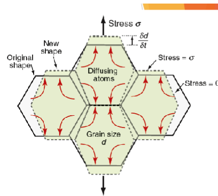 <p>Grain boundaries act as sources and sinks for vacancies</p><p>If a vacancy joins a boundary, an atom must leave it (crystal eaten away)</p><p>If a vacancy leaves a boundary, an atom must joint it (face grows)</p>