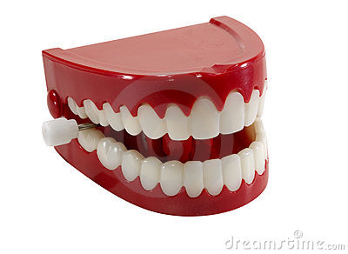<p>Chewing,sensation in the teeth</p>