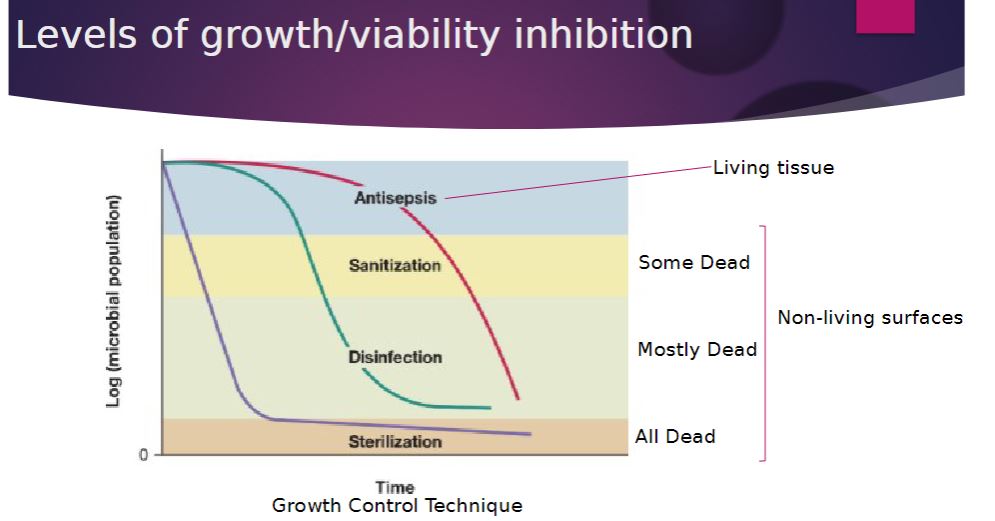 <p>Levels of growth</p>