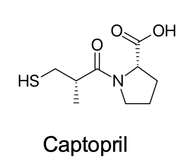 <p>What Transporters does this drug taken up?</p>