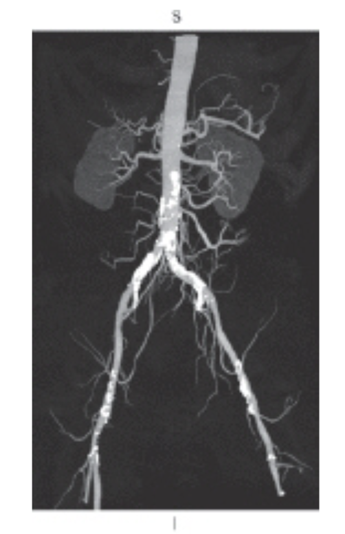<p><span>The figure below is an example of which of the following?</span></p>