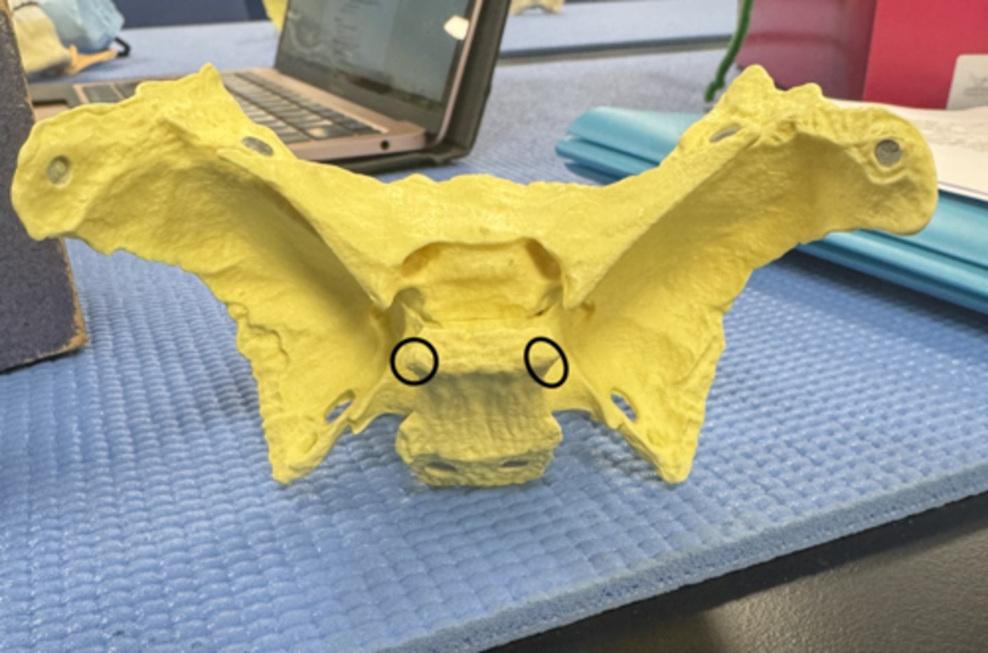 knowt flashcard image