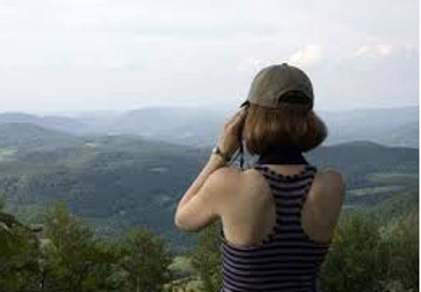 <p>let's observe!</p>