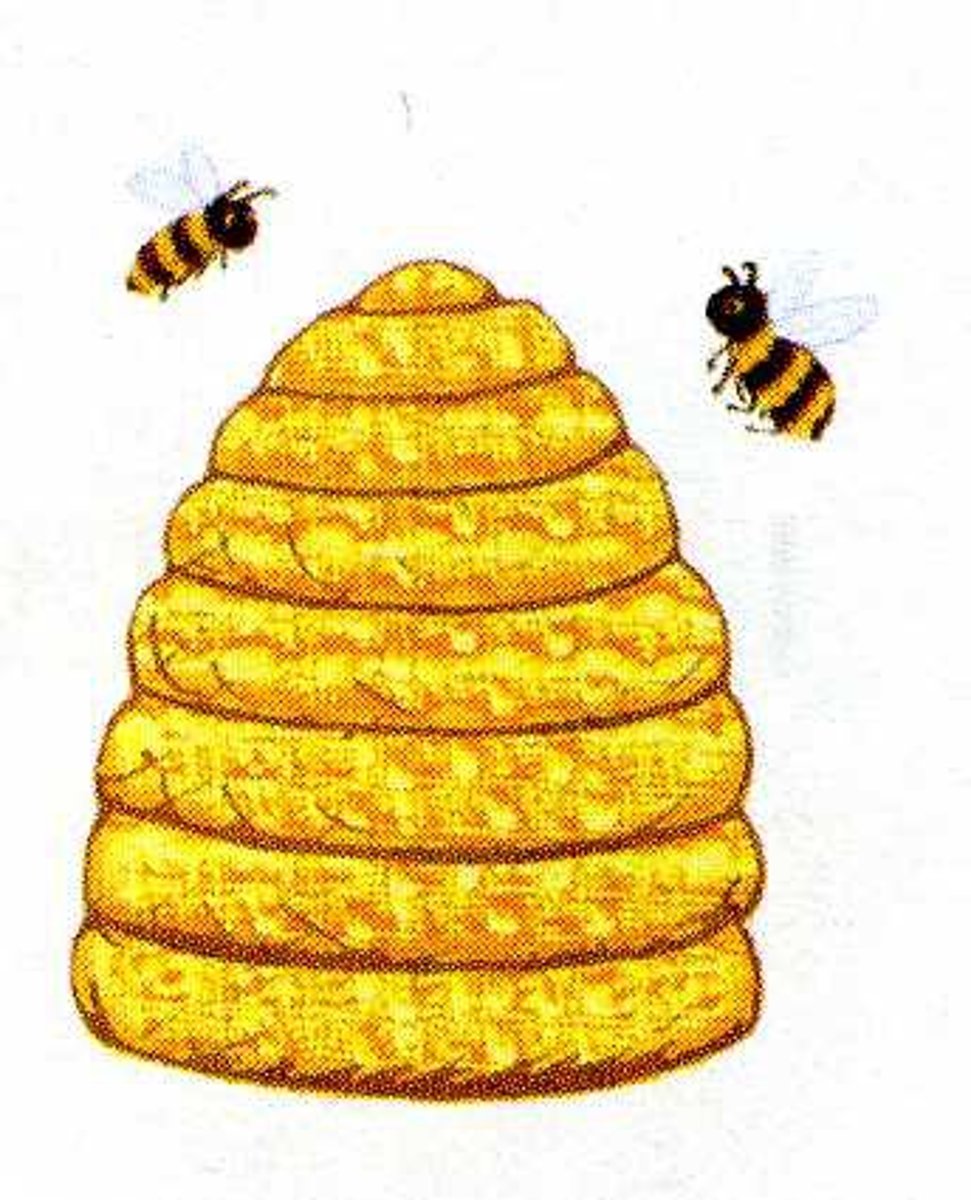 <p>a home for bees — ul</p>