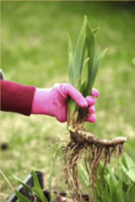 <p>What kind of modification is this?</p>