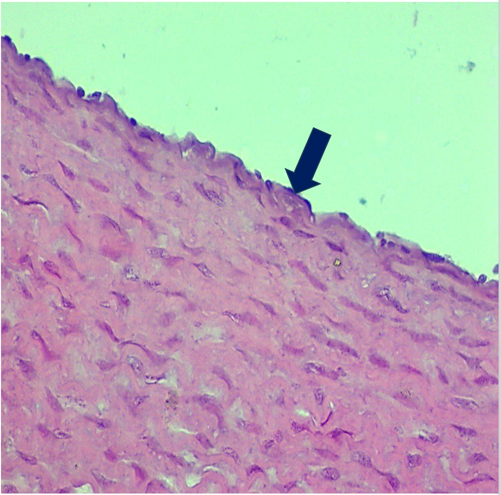 <p>identify</p><p>mention one site</p>