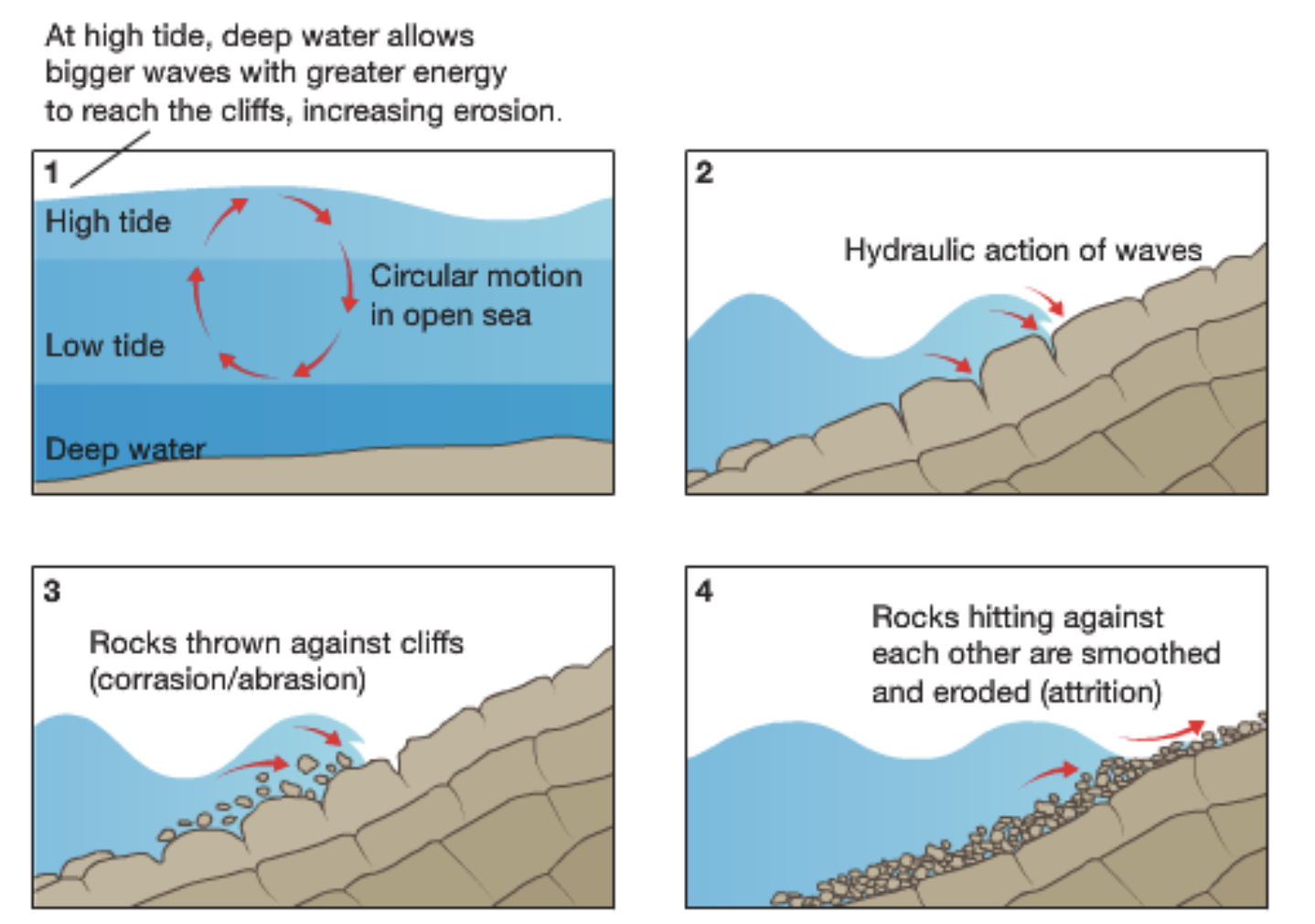 knowt flashcard image