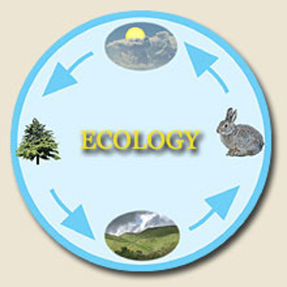 <p>ecology</p>