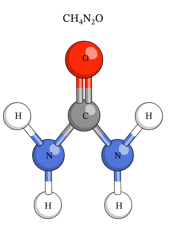 Urea