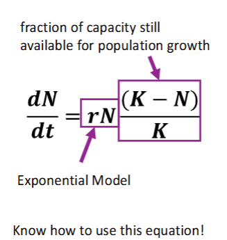 <p>The per capita rate of population growth approaches zero (levels off) as the population size near K</p><p>As populations become larger/denser: </p><ul><li><p>Individuals need sufficient resources to reproduce or per capita <u>birth rate will decrease </u></p></li><li><p>Starvation/disease may increase causing per capita <u>death rate to increase </u></p></li></ul><p></p>