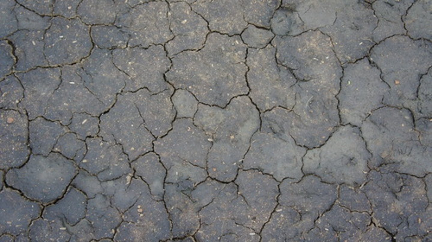 <p>dry</p>
