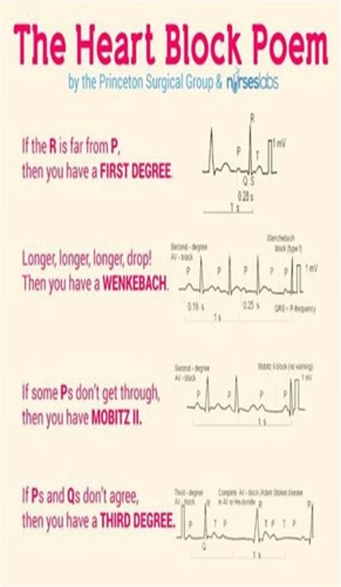 <p>delay in conduction from AV nodes to ventricles; slow rate</p><p>- 1st degree: extended P-R interval</p><p>- 2nd degree: dropped QRS complex</p><p>- Mobitz type I: gradual prolongation of P-R before a block</p><p>- Mobitz type II: constant P-R interval before a block</p><p>- 3rd degree: complete block</p><p>- very slow HR, very wide QRS; no communication between atrium and ventricle</p><p>*2nd degree type II and 3rd degree may be indications for a pacemaker</p>