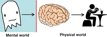 <p><span style="font-family: Arial, sans-serif">(mind vs. brain) <mark data-color="yellow">the </mark></span><strong><em><span style="font-family: Arial, sans-serif"><mark data-color="yellow">mind and brain are different</mark></span></em></strong><span style="font-family: Arial, sans-serif"><mark data-color="yellow"> bodily parts </mark></span><strong><em><span style="font-family: Arial, sans-serif"><mark data-color="yellow">responsible for separate outputs</mark></span></em></strong></p><ul><li><p><mark data-color="blue">subsets:</mark></p><ul><li><p><strong><em><mark data-color="red">substance _______</mark></em></strong></p></li><li><p><strong><em><mark data-color="red">property _______</mark></em></strong></p></li></ul></li><li><p><mark data-color="blue">conflicts:</mark></p><ul><li><p><span style="font-family: Arial, sans-serif"><mark data-color="red">does not say what the mind is not:</mark></span></p><ul><li><p><span style="font-family: Arial, sans-serif">mind is <mark data-color="green">not the brain</mark></span></p></li><li><p><span style="font-family: Arial, sans-serif">mind is <mark data-color="green">not the body</mark></span></p></li><li><p><span style="font-family: Arial, sans-serif">mind is <mark data-color="green">different and separate from physical world</mark></span></p></li></ul></li></ul></li></ul>