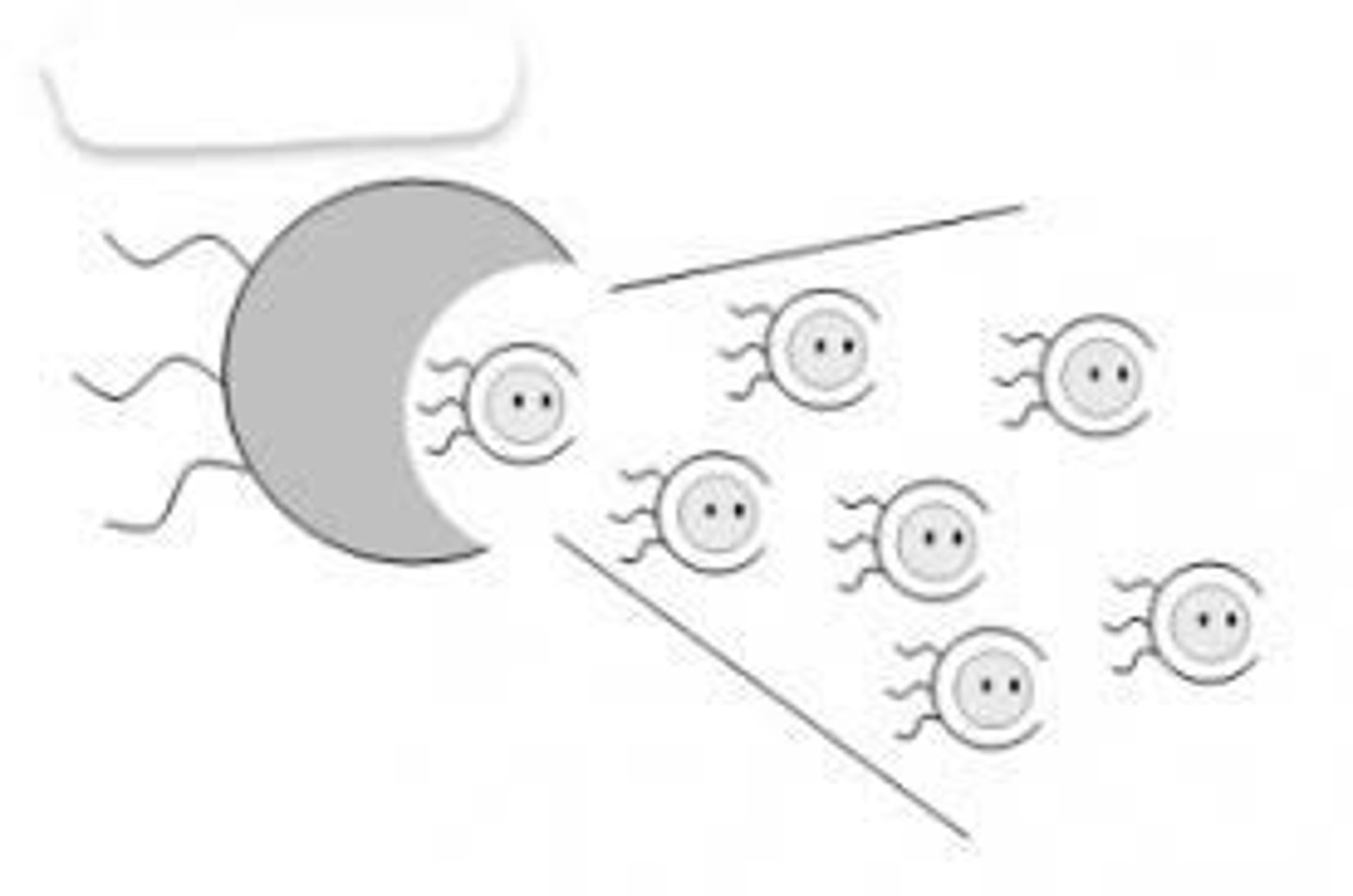 <p>(vt.)產生，造成</p>