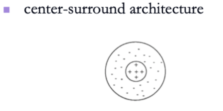 <ul><li><p>They look like different shades even though both squares are 20 units and are the same colour. <strong>Cells are inhibiting the neighboring colour.</strong></p></li><li><p>Retinal ganglion cells like dots </p></li><li><p>Centre surround architecture increases contrast and brightenss contrast </p></li></ul><p></p>