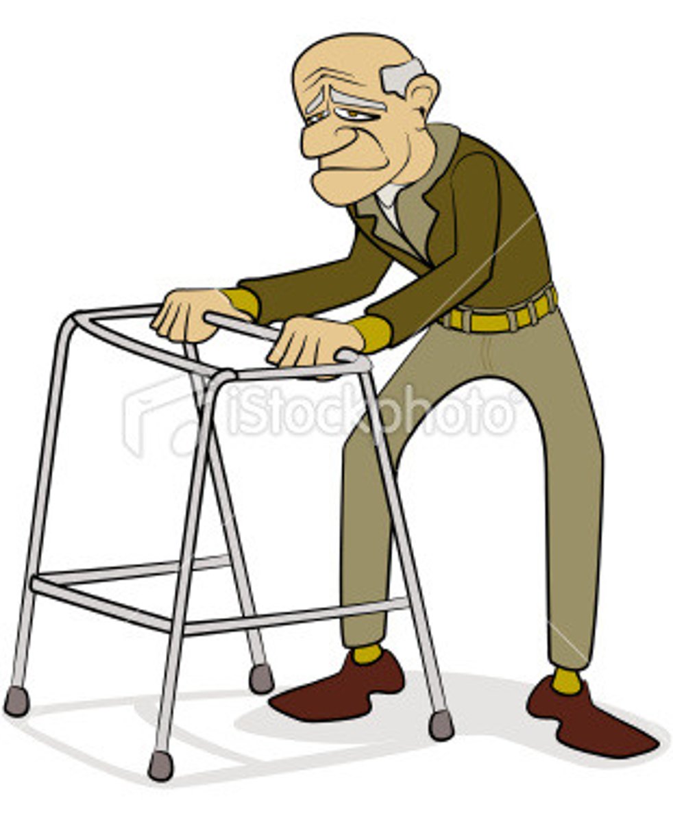 <p>(a) rất già</p>