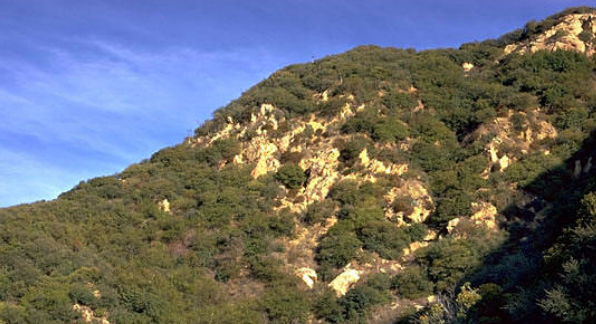 <p>Clima mediterráneo (veranos secos, inviernos húmedos), árboles/arbustos/matas esclerófilas, producción media, descomposición media, frecuentes incendios, suelos ricos en carbonatos y óxidos de Fe.</p>