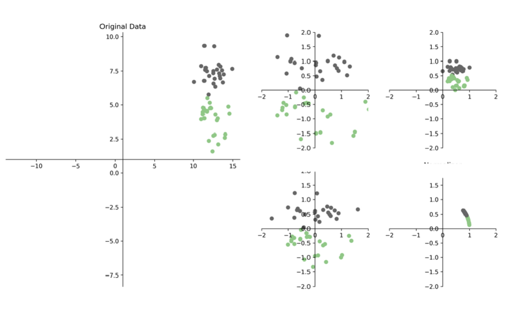 <p>What are the 4 types of scaled data?</p>