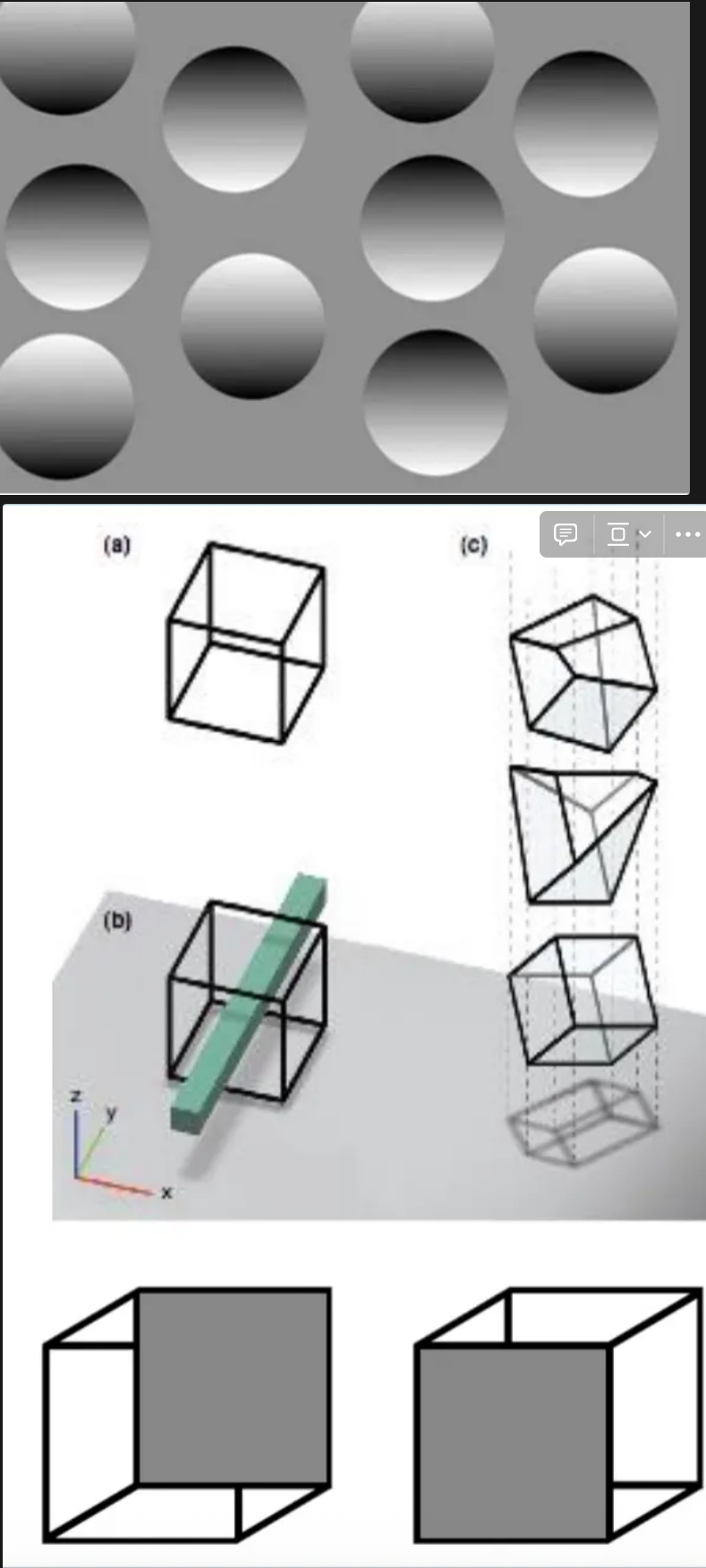 <ul><li><p>Honour the laws of physics (&amp; biology)</p><ul><li><p>Nothing is going to defy gravity on earth. The pallet has concave and convex circles, not floating circles</p></li></ul></li><li><p>Resolve ambiguity (Necker cube)</p><ul><li><p>Perceiving squares from below or above, different perceptions</p></li></ul></li><li><p>Stats: reject accidental viewpoints</p><ul><li><p>What is likely what is unlikely</p></li><li><p>Dismiss coincidences</p></li></ul></li></ul><p></p>