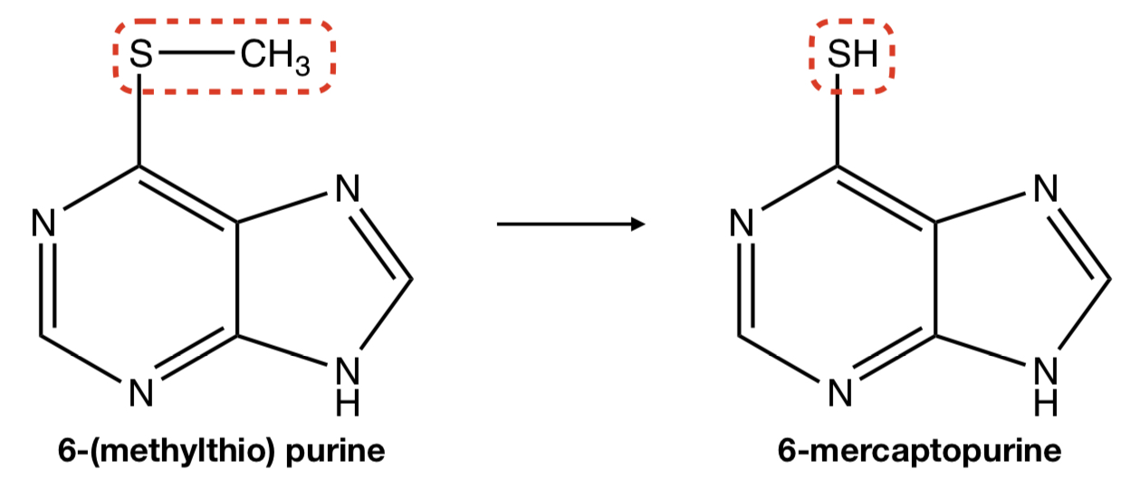 <p><strong>6-(METHYLTHIO) PURINE</strong> TO <strong>6-MERCAPTOPURINE</strong></p>