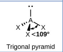 <p>tetrahedral, trigonal pyramidal</p>