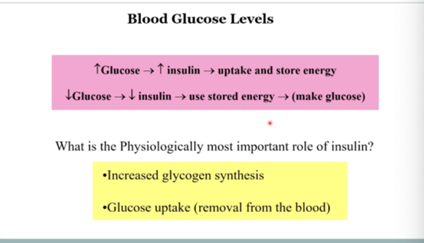 <p>Increased glucose increases insulin, leading to uptake and storage of energy; decreased glucose decreases insulin, leading to use of stored energy and production of glucose.</p>