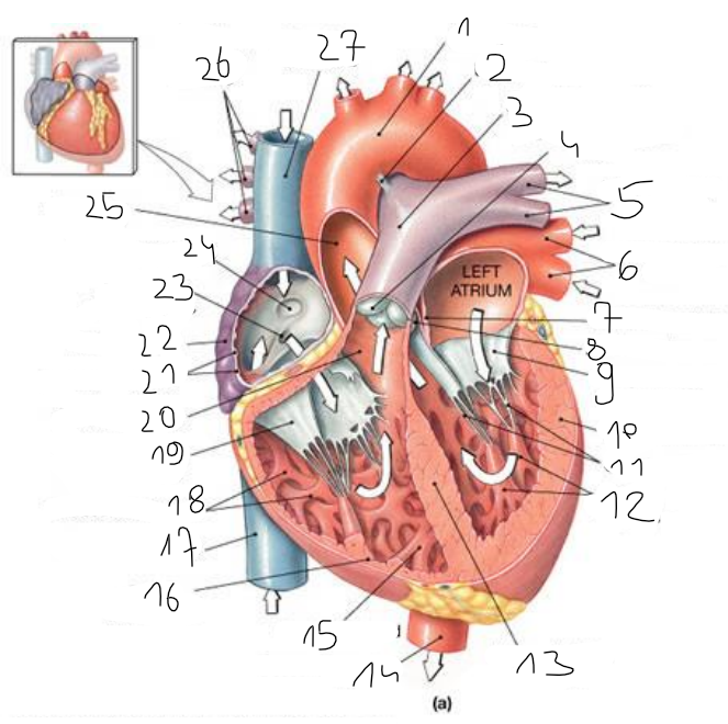 <p>1</p>